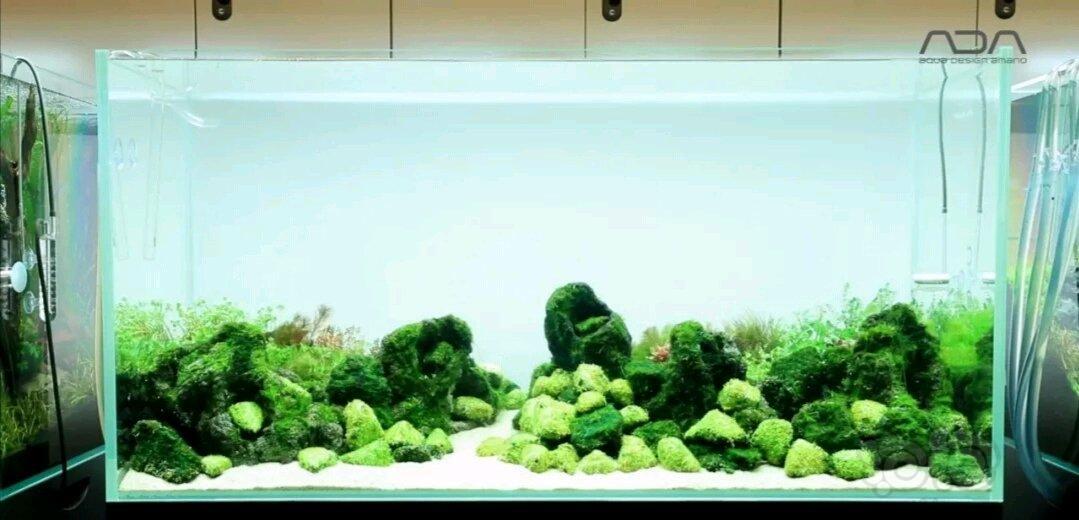 Ph熔岩石标缸景 泡泡水族