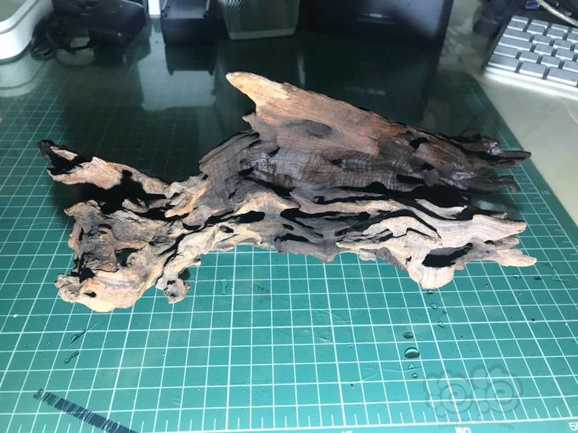 沉木两块虾木一瓶莫斯特4000欢迎打包