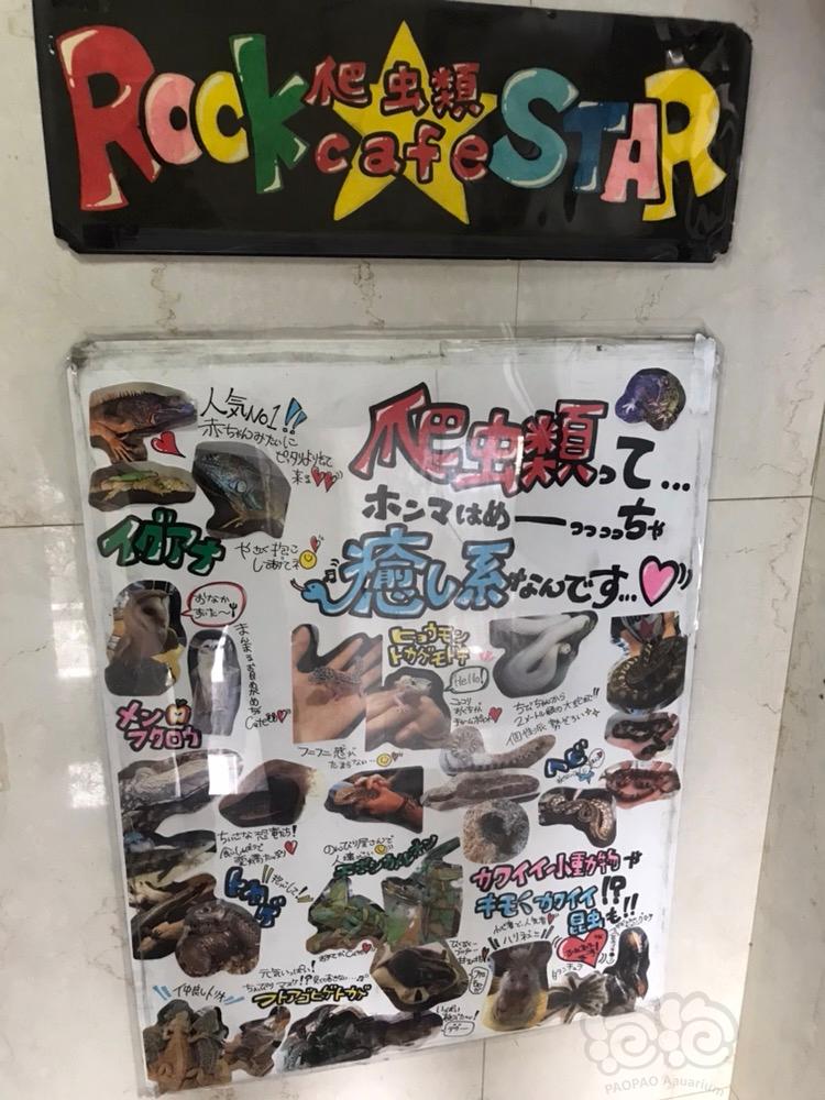 【精品店】大阪Rock-star 爬虫咖啡馆-图2