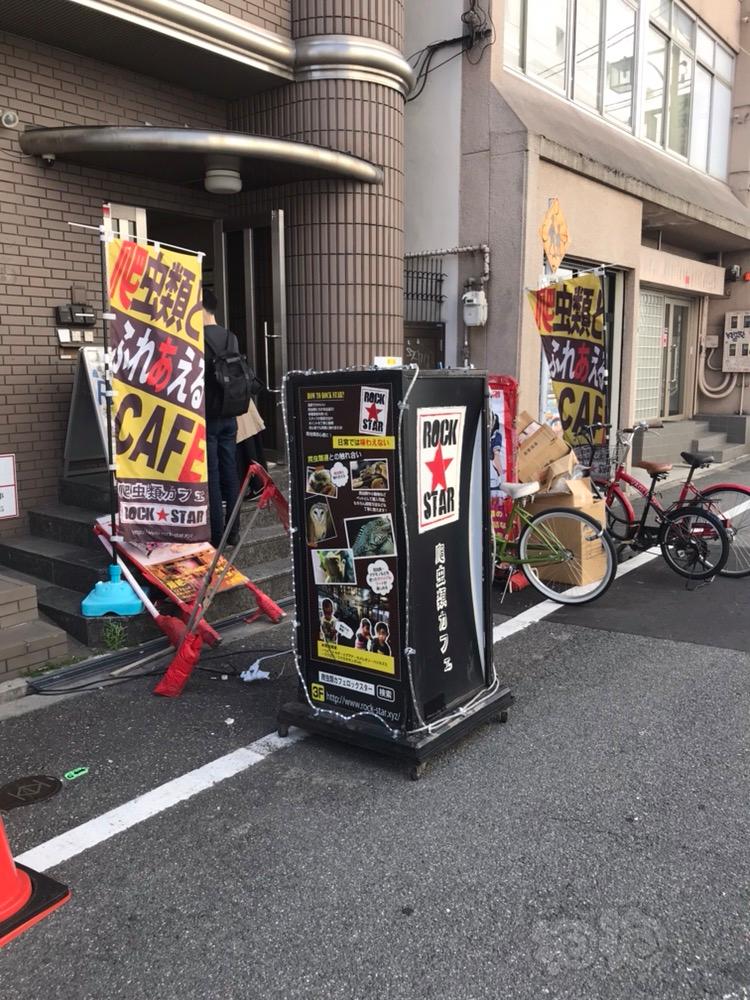 【精品店】大阪Rock-star 爬虫咖啡馆-图1