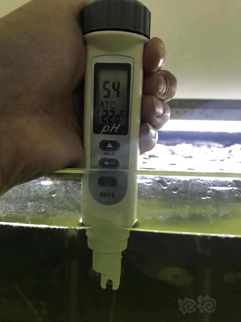【】野生鱼定水开缸3天数据对比-图1