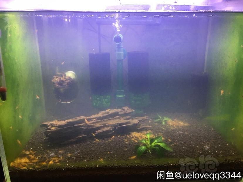 上海宝山地区出售虾缸配件工具等-图1
