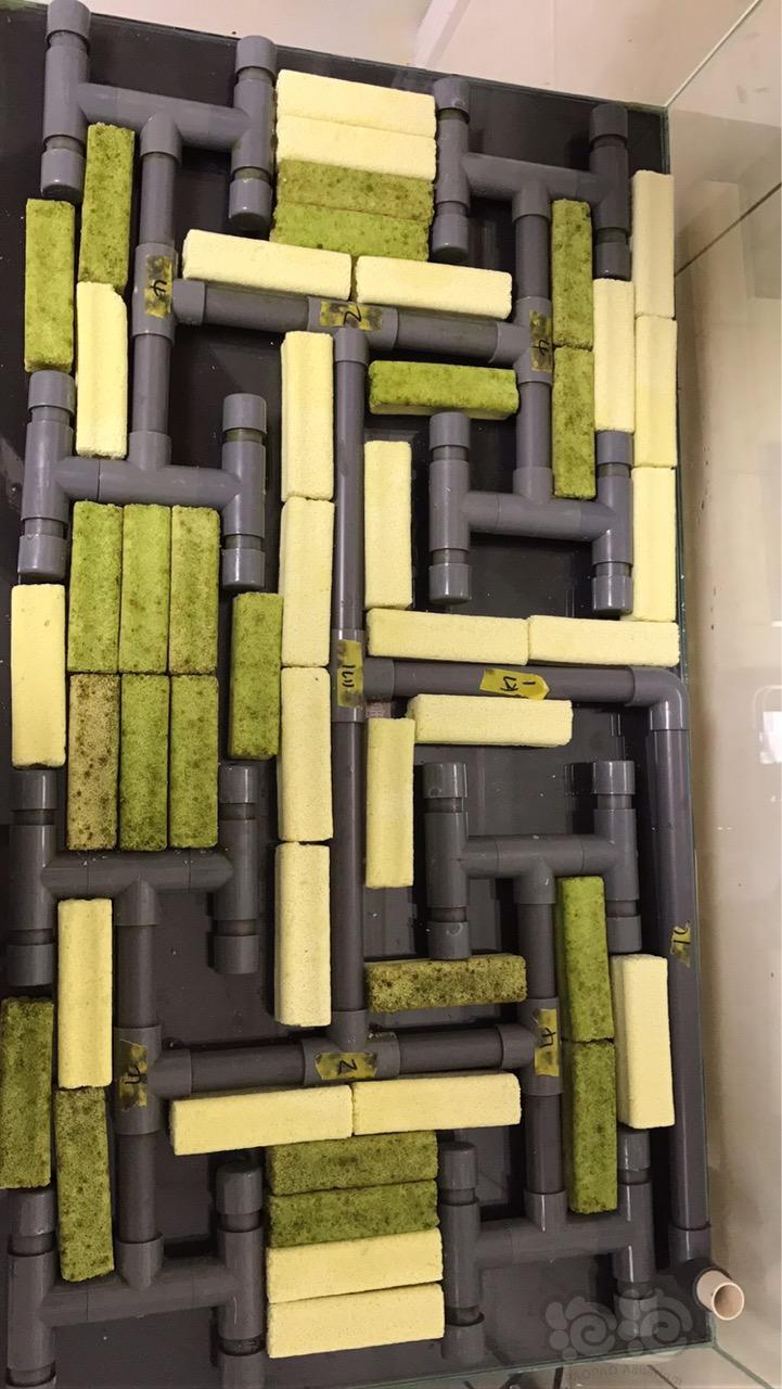 出售出8045同程8管