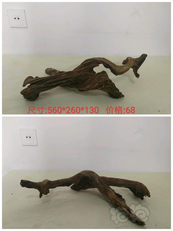 【沉木】长期出售沉木，价格包邮，另出售自家繁殖的小橙兔螺-图5