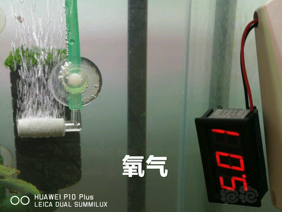 【用品】2018年-05-22#RMB拍卖二氧化碳（氧气）细化头一份3个-图5