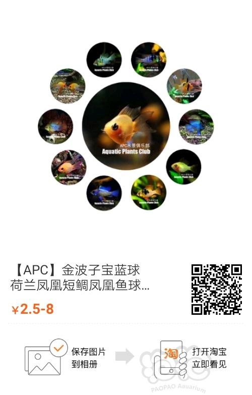 【出售】金波子2.5元黑金刚2元辣椒蟹1.5元-图1