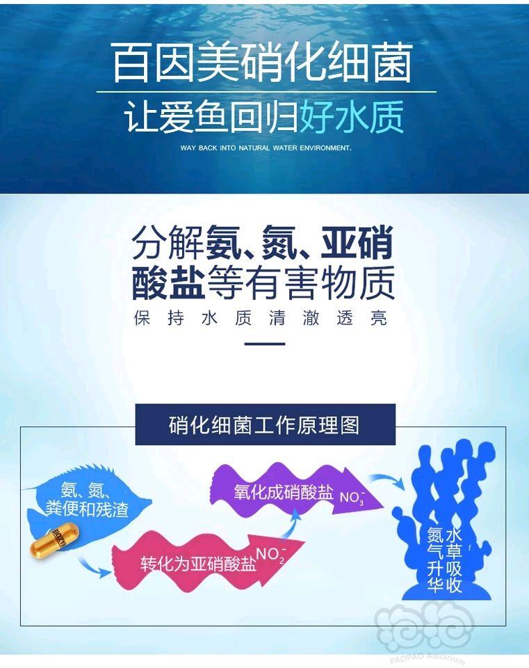 2018-5-19#RMB拍卖美国百因美淡水硝化菌1瓶（100粒装）国际版-图3