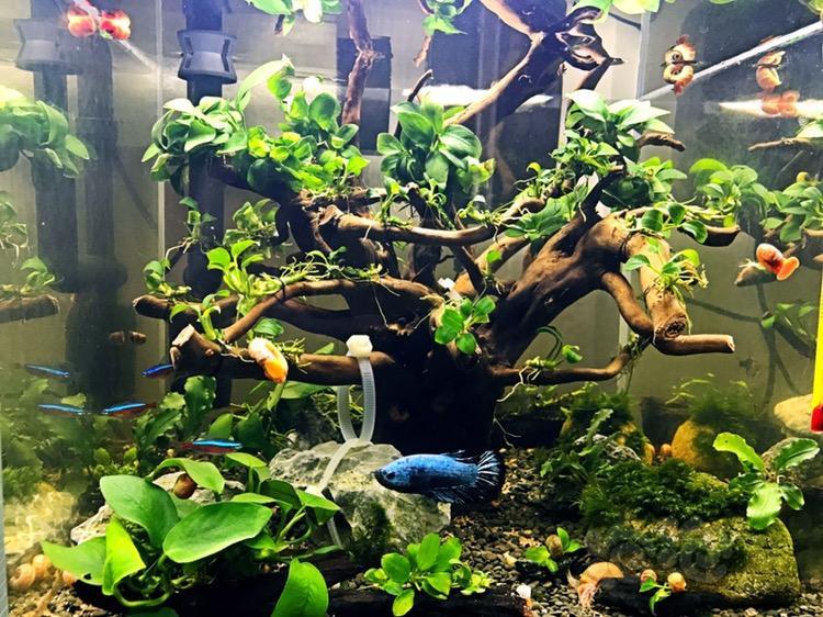 水榕缸三十方记录