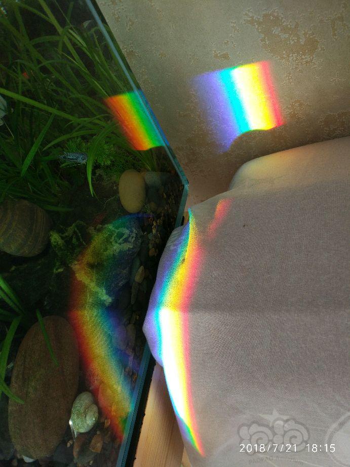 阳光下的彩虹，好美，哈哈-图3