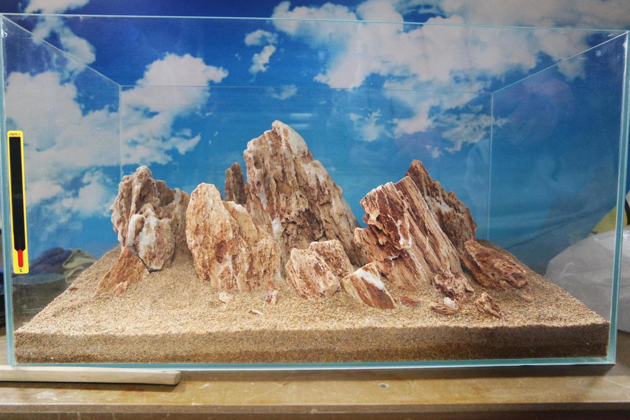 60缸鸡骨石骨架