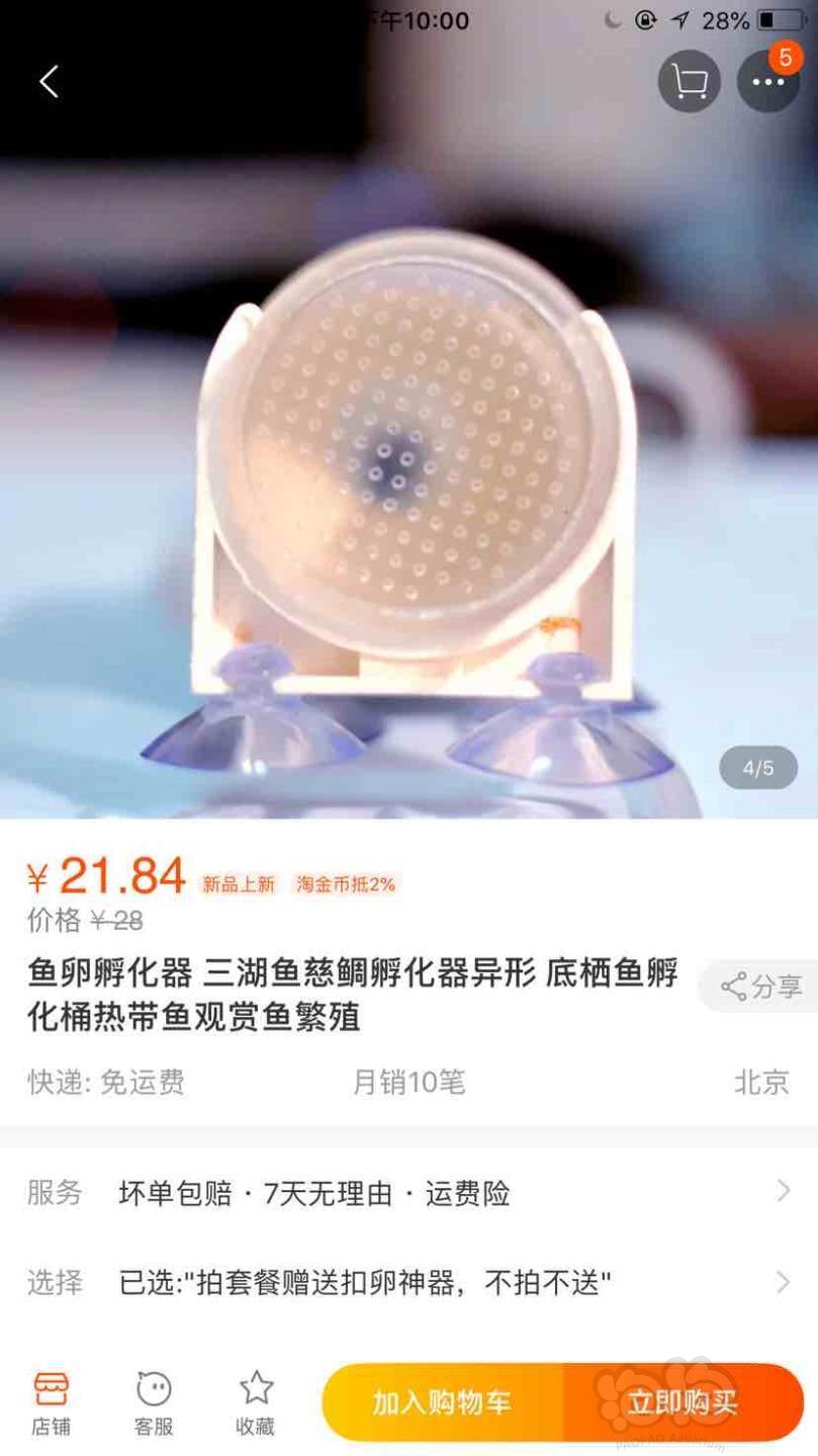 孔雀鱼大家看看某宝上的鱼卵孵化器