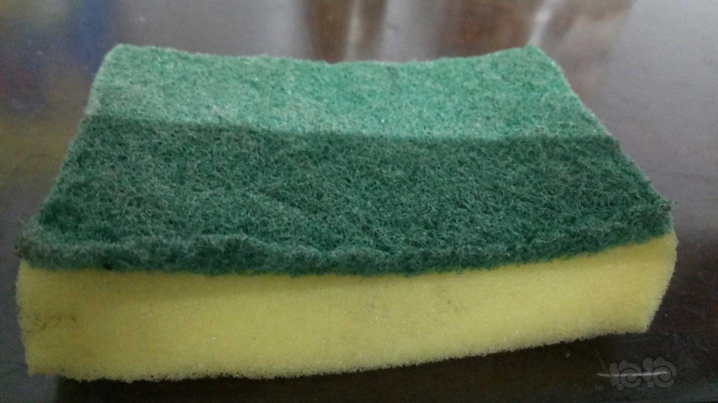 【求助】洗碗巾上面这层绿的叫什么？-图1