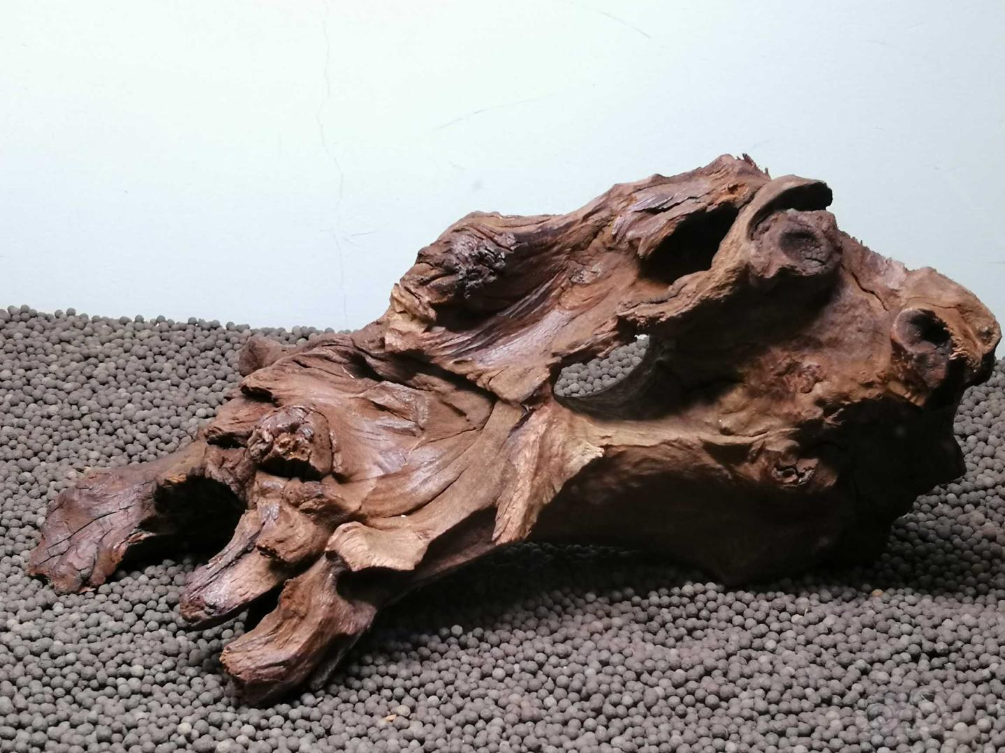 图二,紫柚 沉木尺寸,长25宽12高11,此木已打磨,三腿站立很稳!