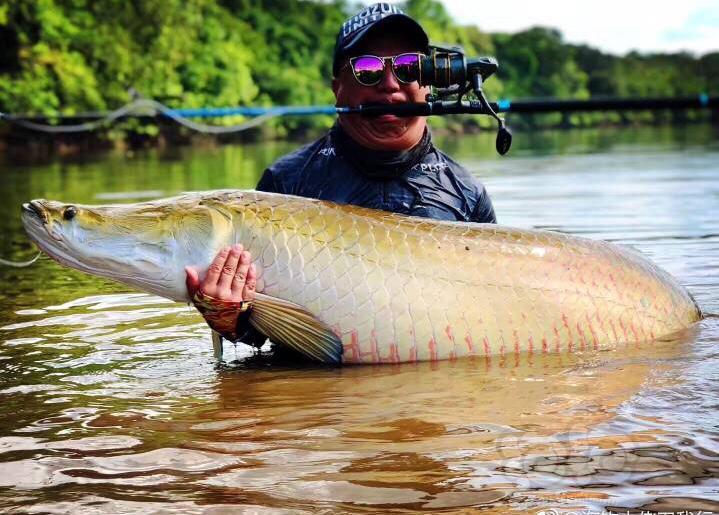 八种猛鱼为毛线我们每次只能钓到辣莫一点点的