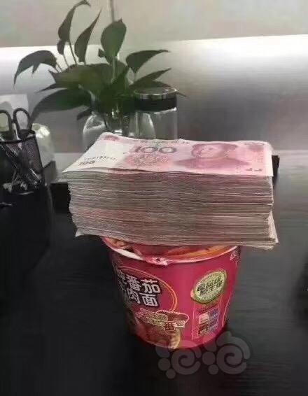 一摞钱压泡面的图片图片