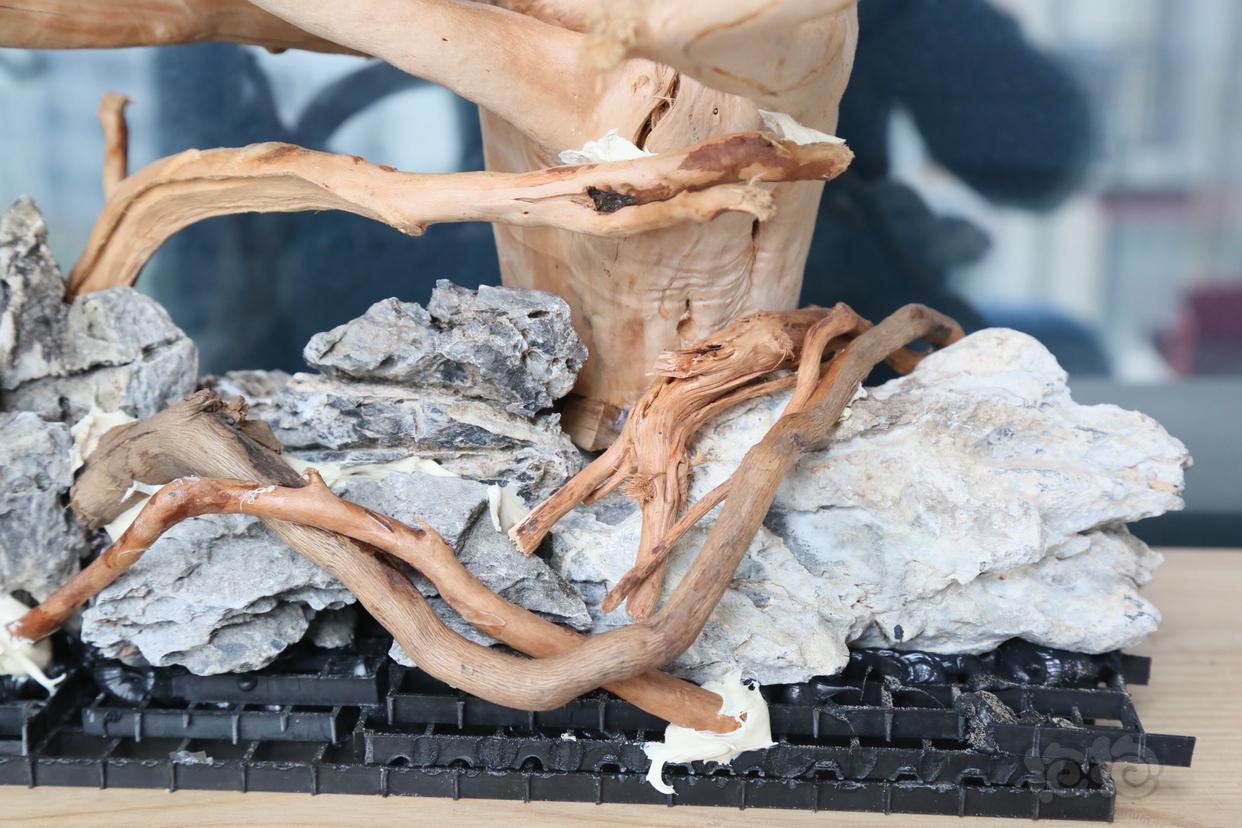 出售鱼缸草缸整体杜鹃根造景骨架