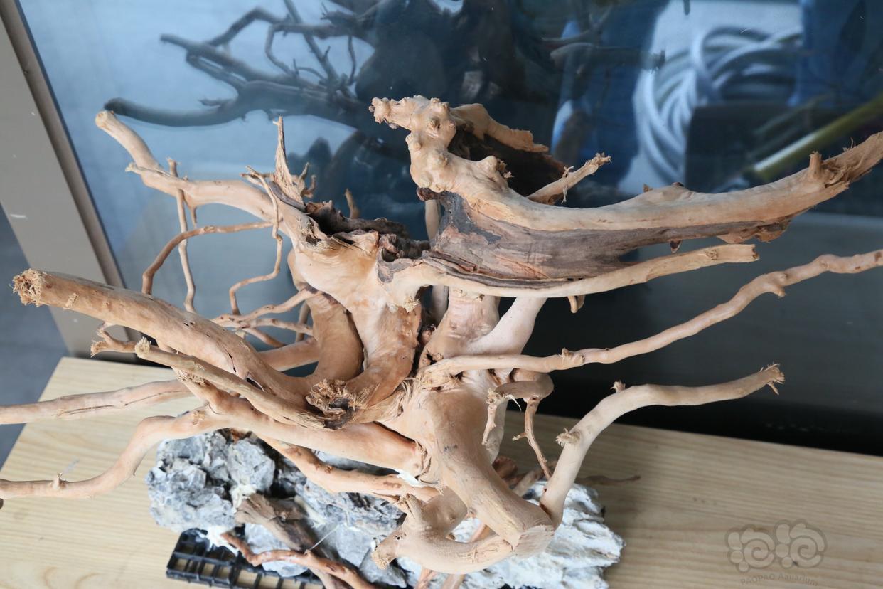 出售鱼缸草缸整体杜鹃根造景骨架