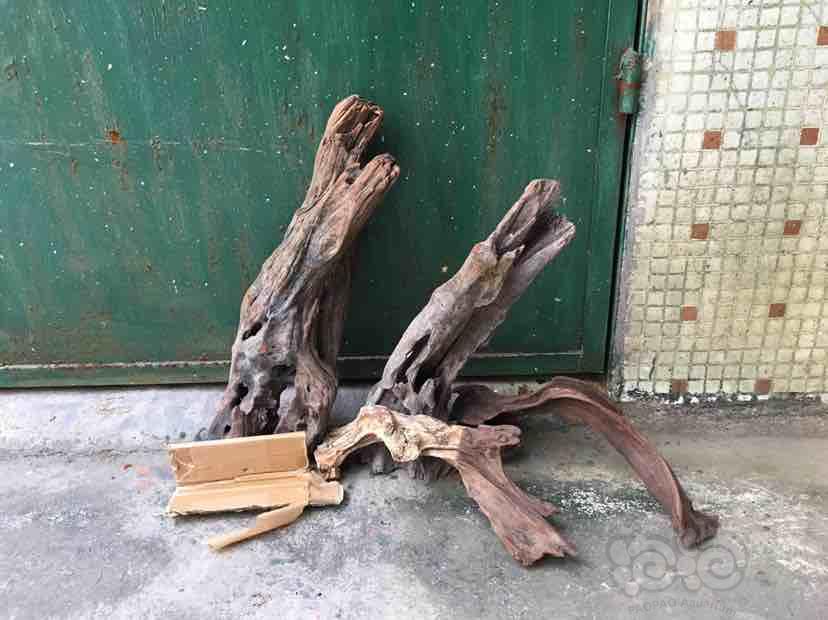 【出售】出点木头柴火-图3