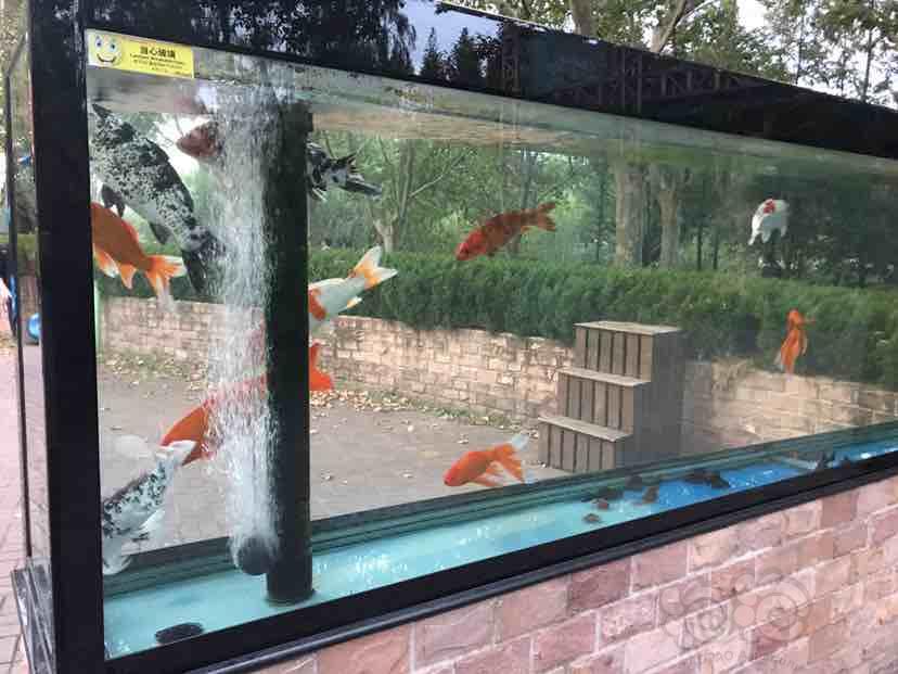 野生动物园的空气缸-图2