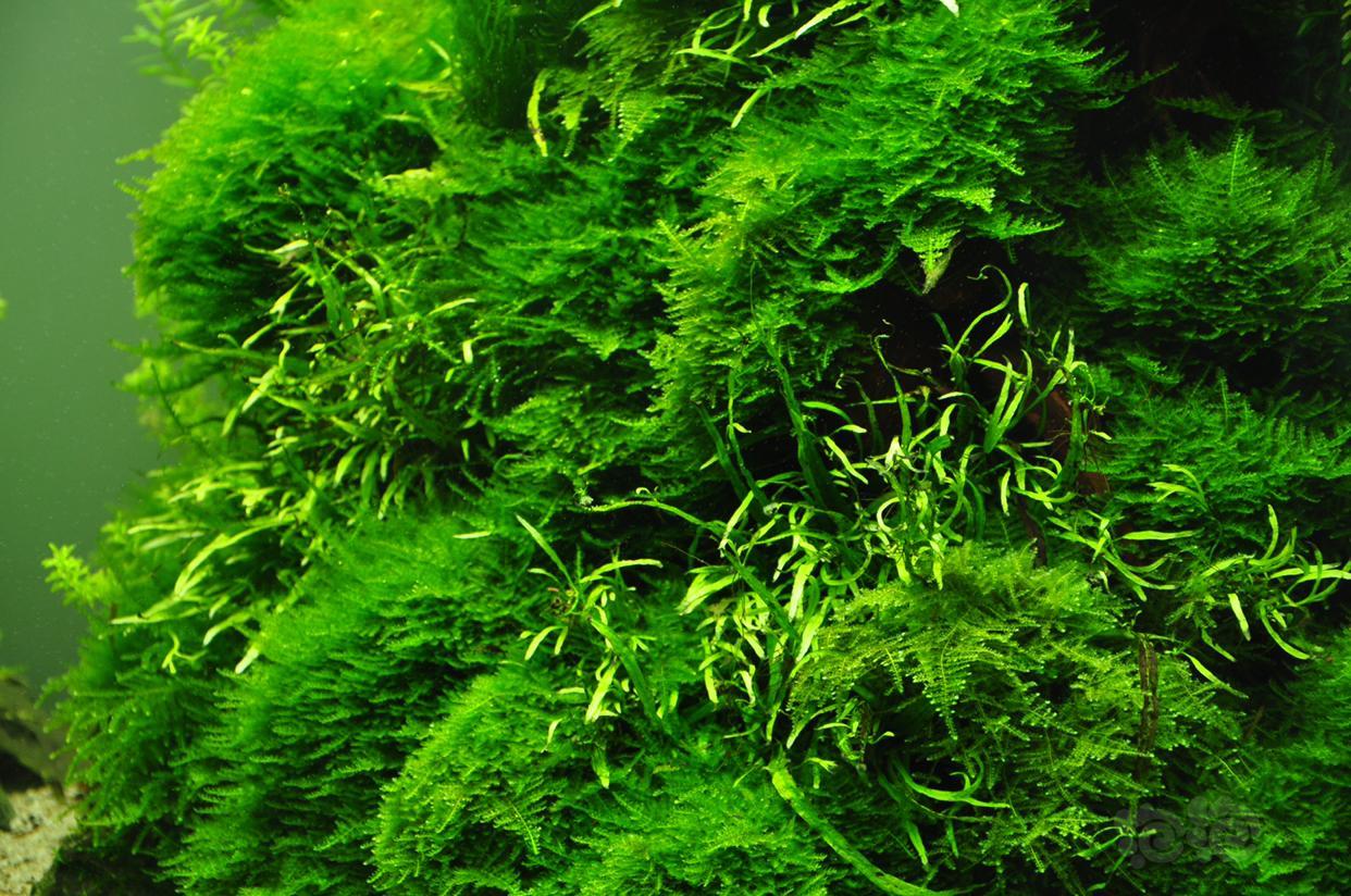 不知道写什么标题了