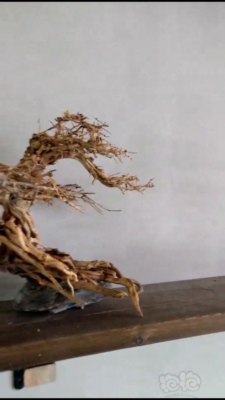 【沉木】出一个树型骨架-图2