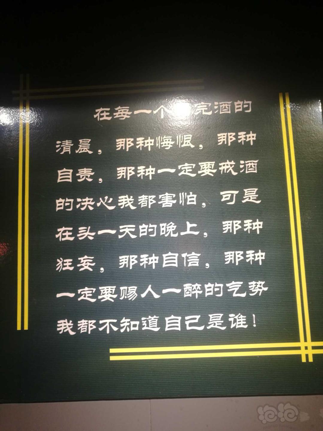 这酒看看怎么喝