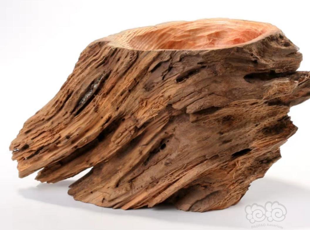 天然风化的松木明子,可以放到鱼缸里吗