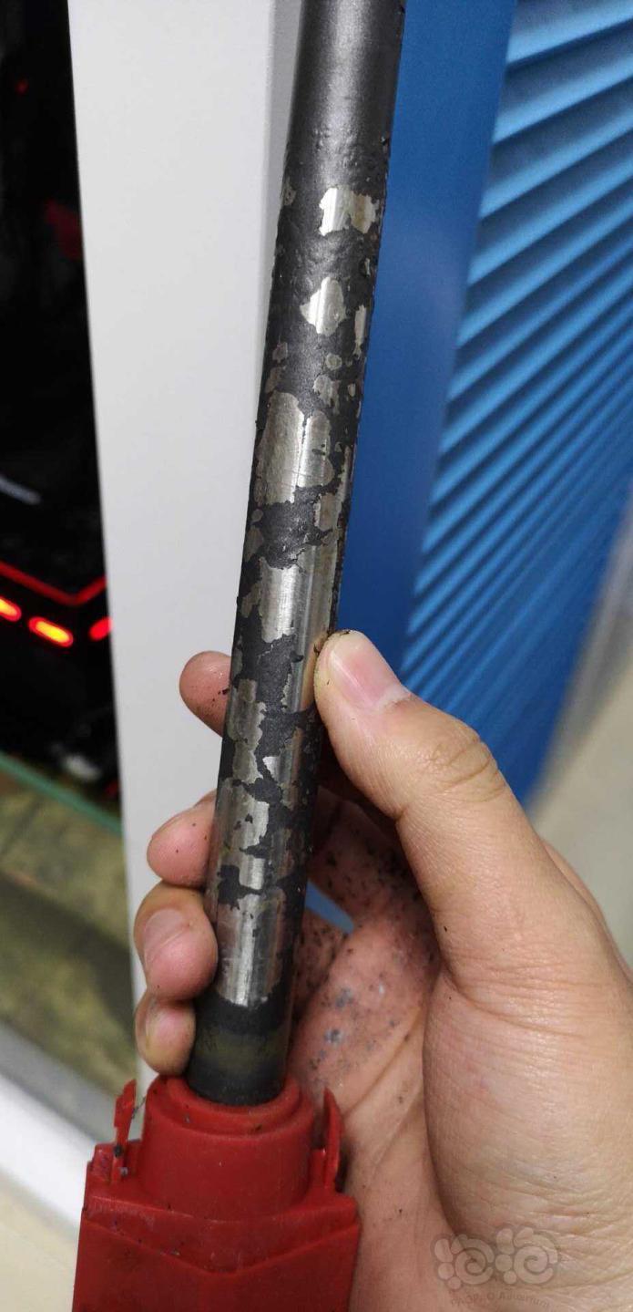 博特你这加热棒怎么敢卖600多块