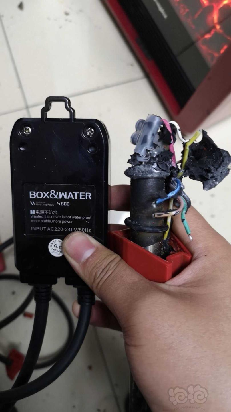 博特你这加热棒怎么敢卖600多块