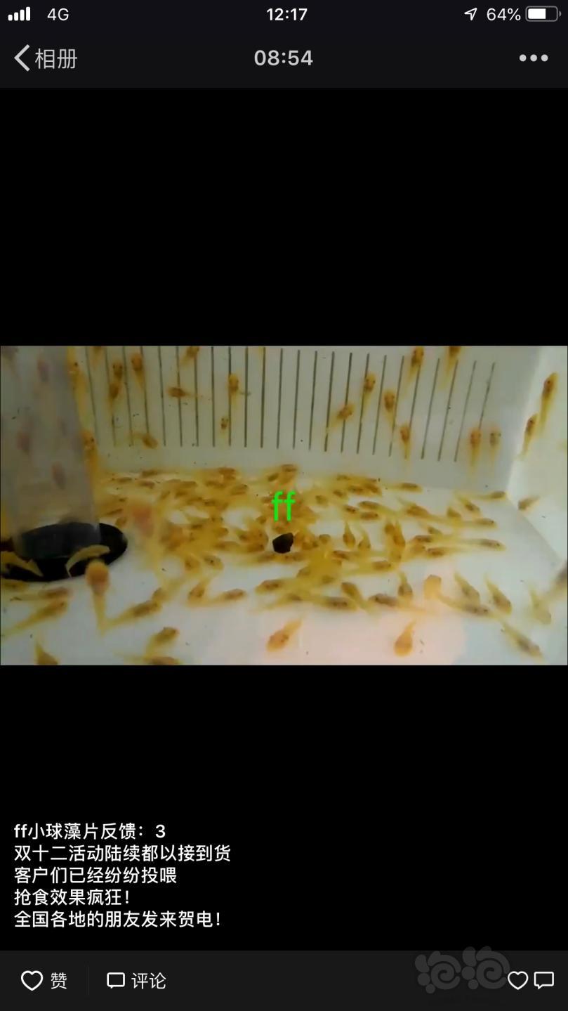 【用品】2018-12-20#RMB拍卖小球藻片一瓶25g水晶虾/观赏螺，素食异形胡子大帆功能型饲料-图8
