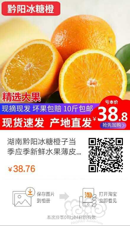 【出售】南方橘子橙子严重滞销，果农苦无销路，喜欢吃的便宜出售，来吧！-图3