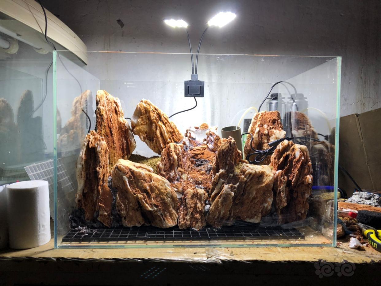 水陆50鸡骨石水陆缸