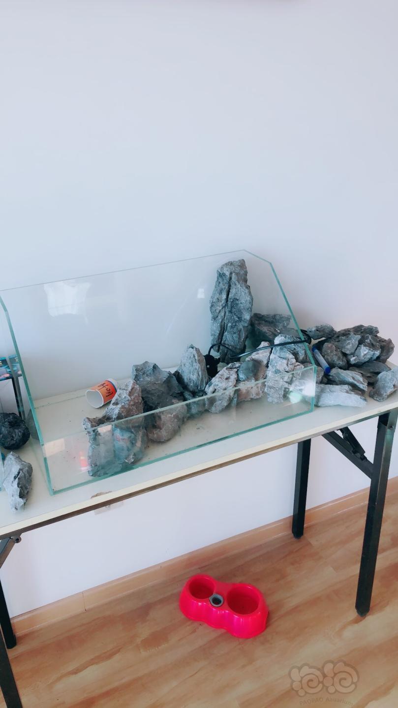 水陆60水陆缸造景