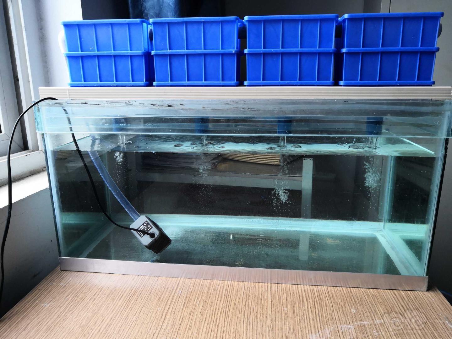 自制鱼缸自制滴流盒终于成型了-图1