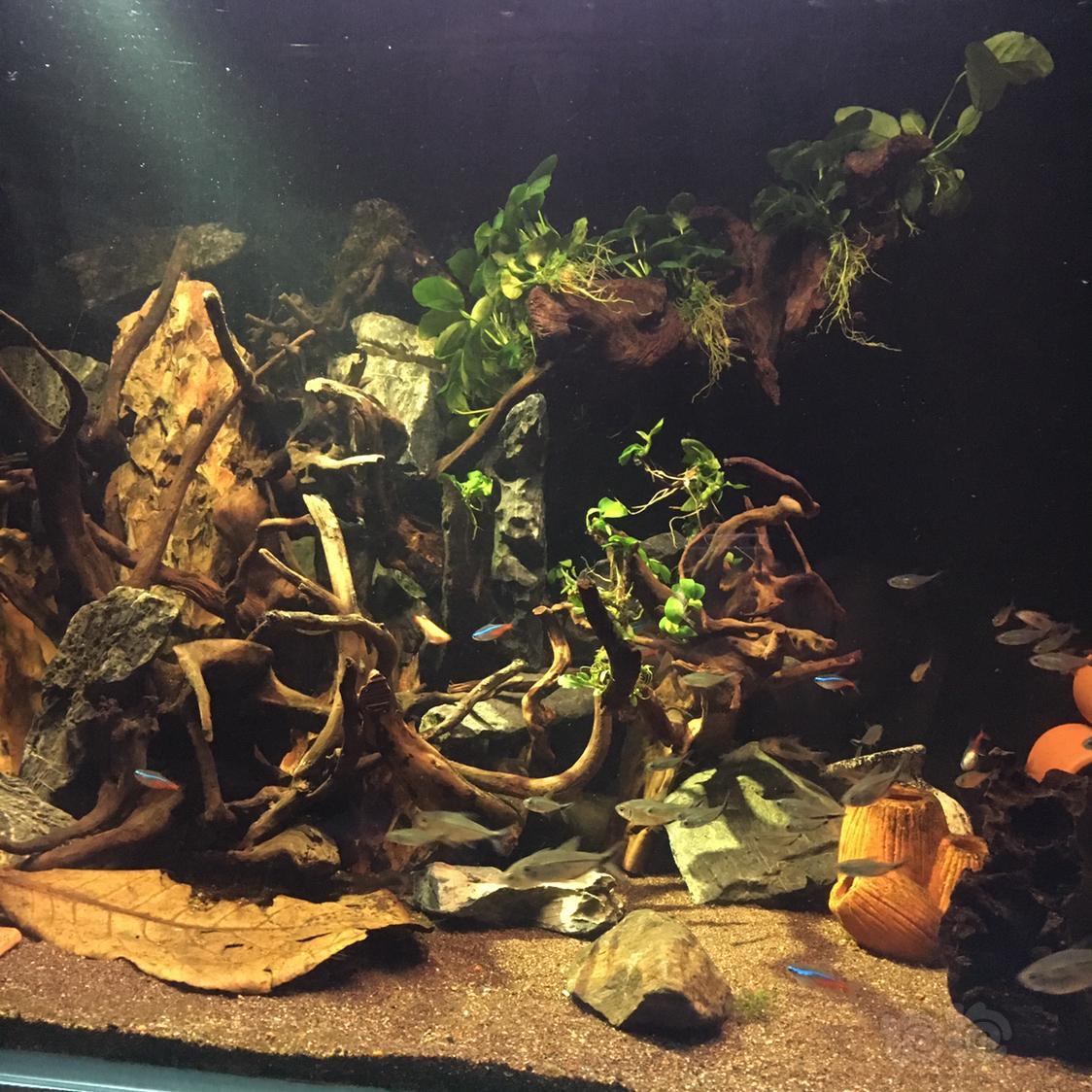 南美景还有救吗