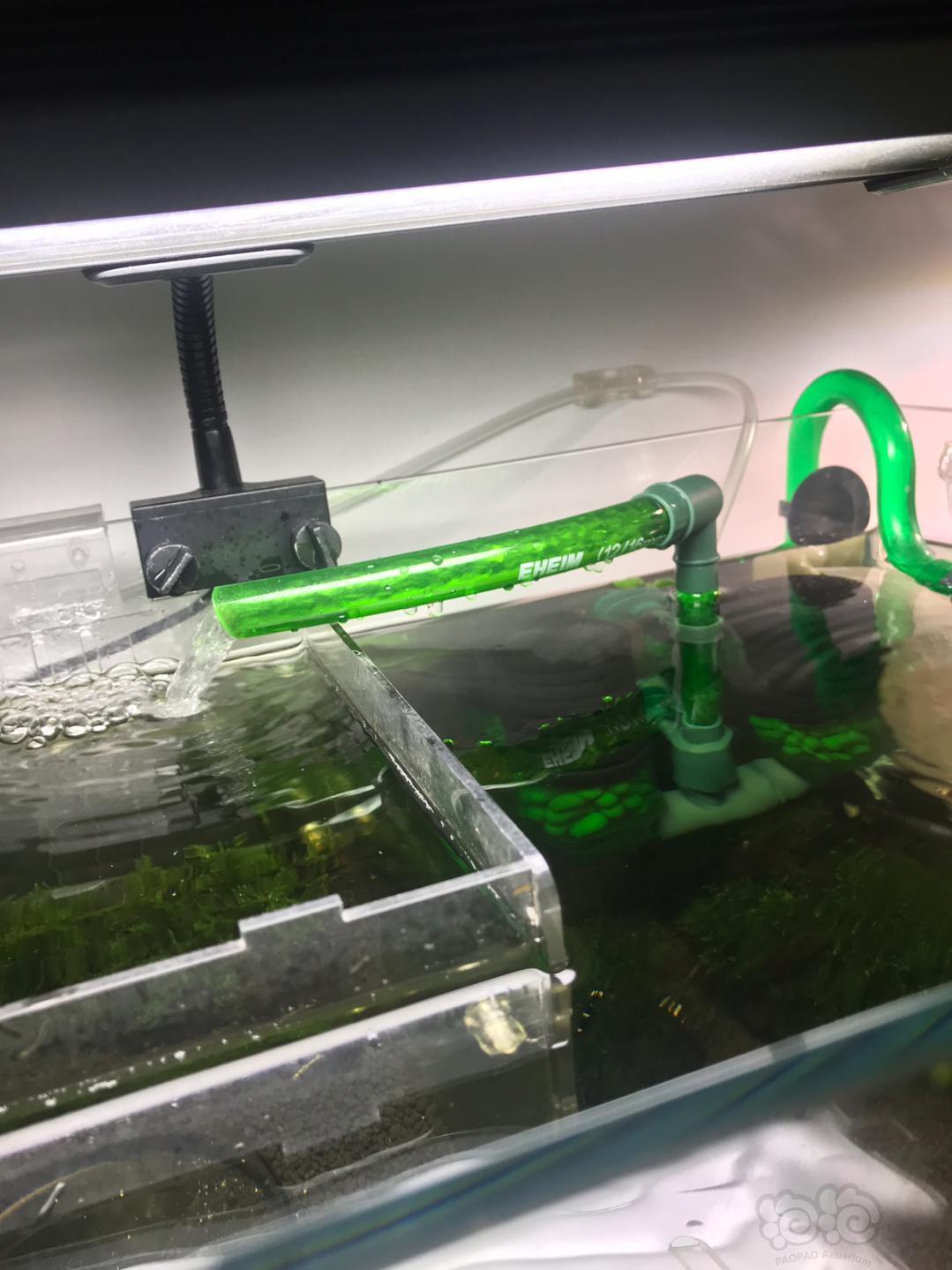 水妖精配伊罕过滤