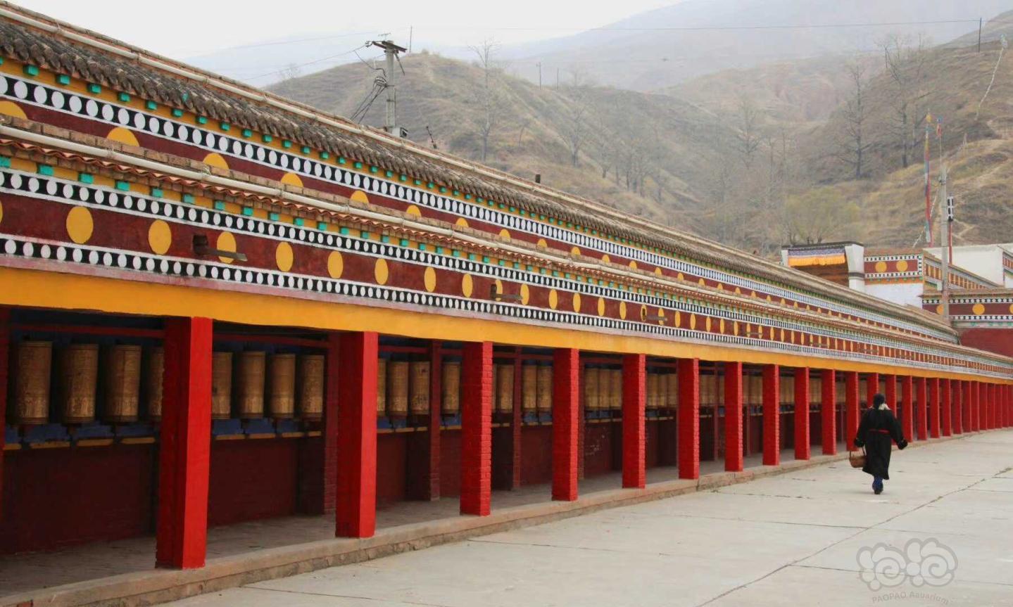 吾屯下寺亦称“森格央下寺”，藏语称“格丹彭措曲林”-图2
