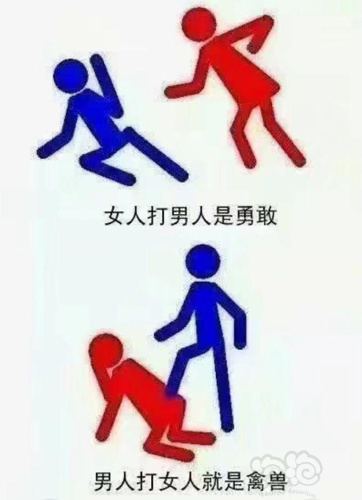 与其乱动不如不动