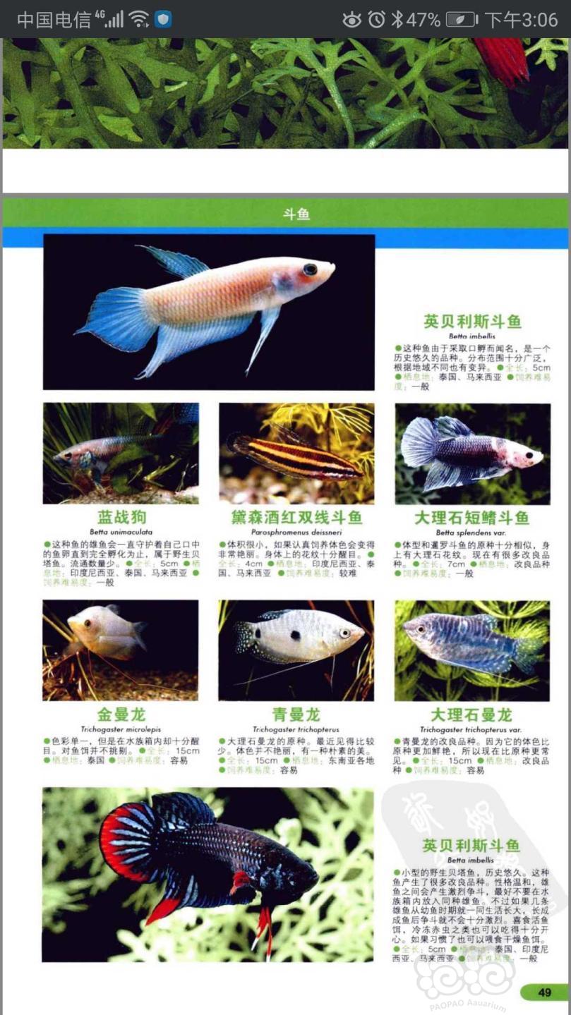 免费送热带鱼图鉴电子书，pdf-图2