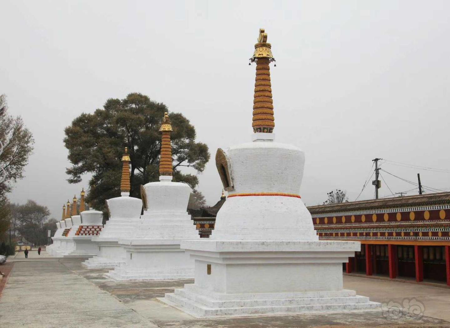 吾屯下寺亦称“森格央下寺”，藏语称“格丹彭措曲林”-图7