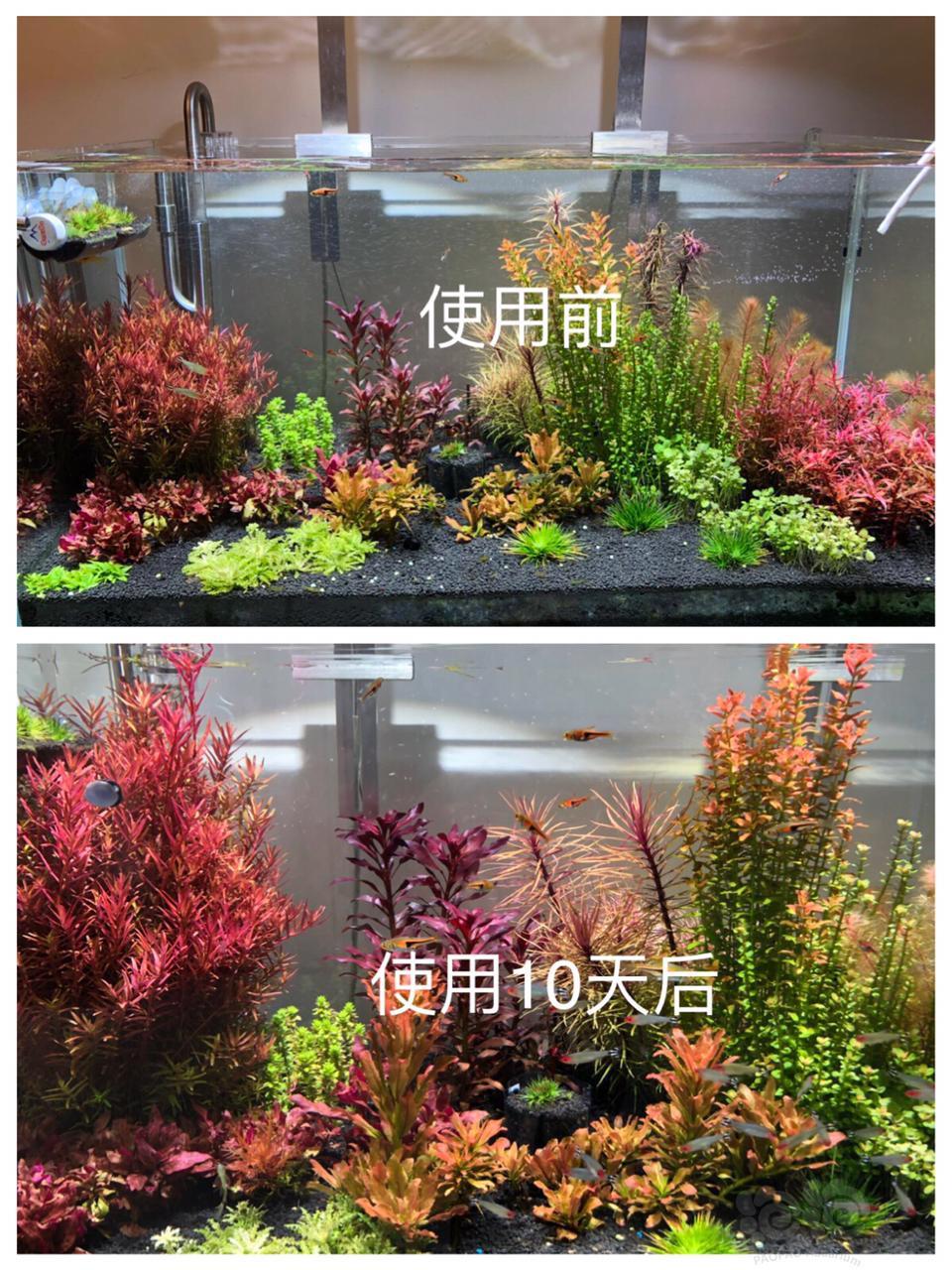 肥料 水草玩家diy液肥高品质草友价 泡泡水族