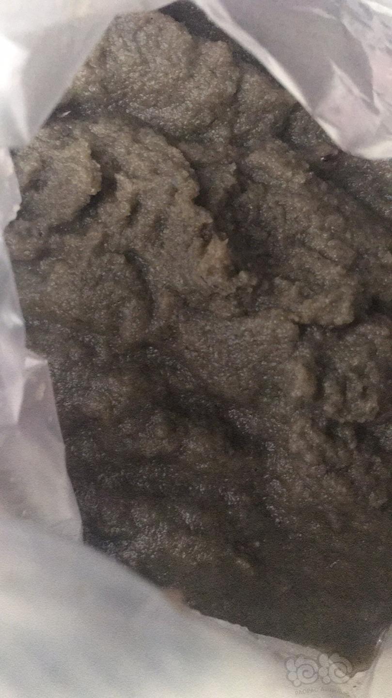 其它潮汕土虾给力到爆了