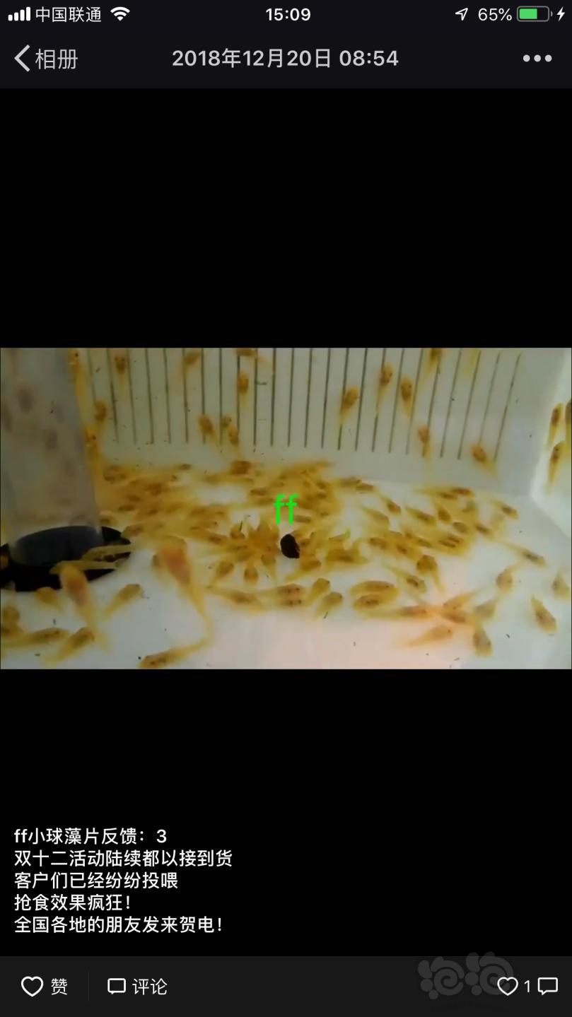 【用品】2019-1-9#RMB拍卖小球藻片一罐80g水晶虾/观赏螺，素食异形胡子大帆功能型饲料-图8