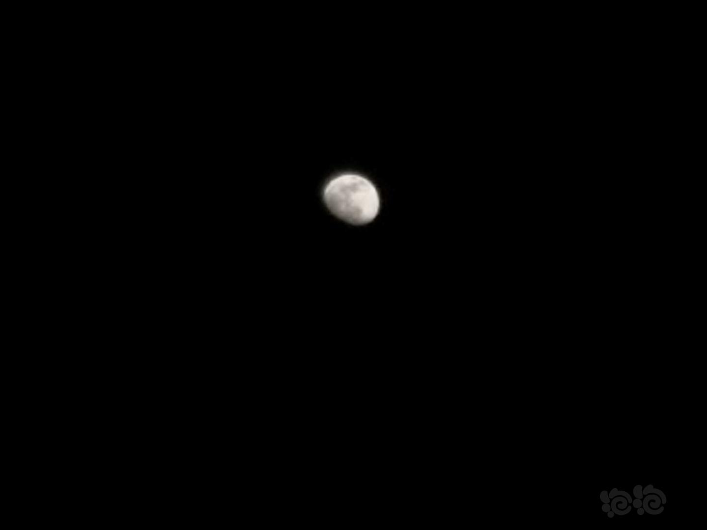 月亮-图1