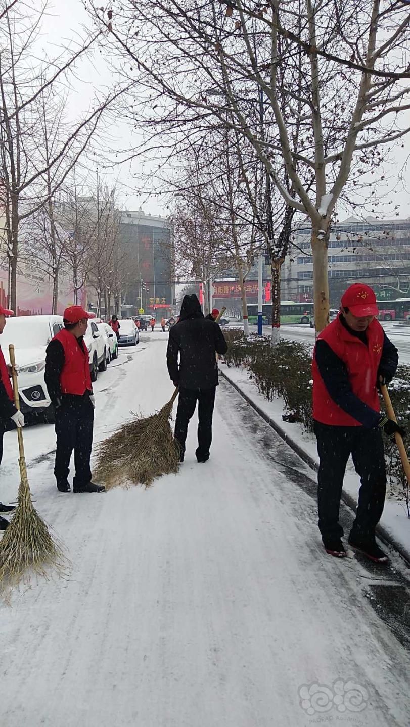 下雪了，各单位的小红帽，红马甲都开始行动了-图2