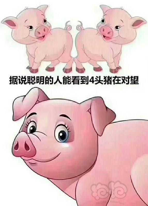 此画的作者说～～～  笨人,就看见三只～～～  聪明人,能看见四只