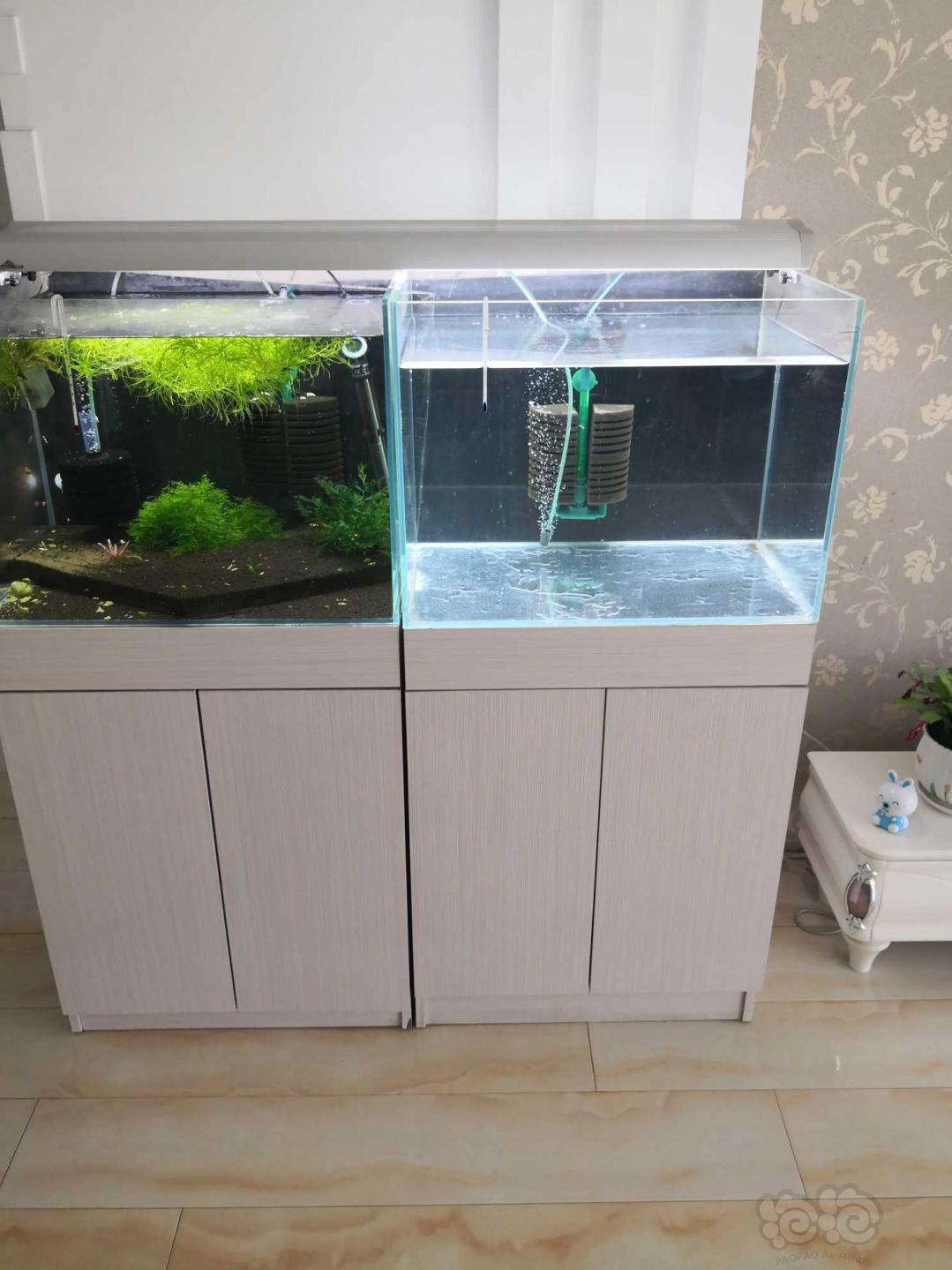 鱼缸沈阳市出2套604545超白缸包括底柜