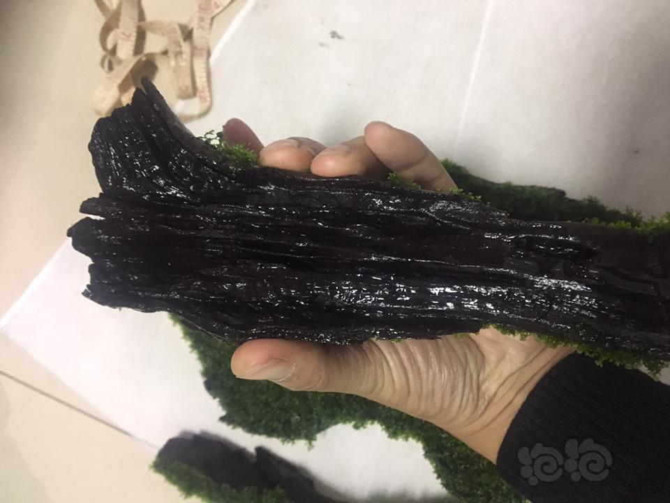【水草】2019-02-26#RMB拍卖珊瑚沉木莫斯4块-图7