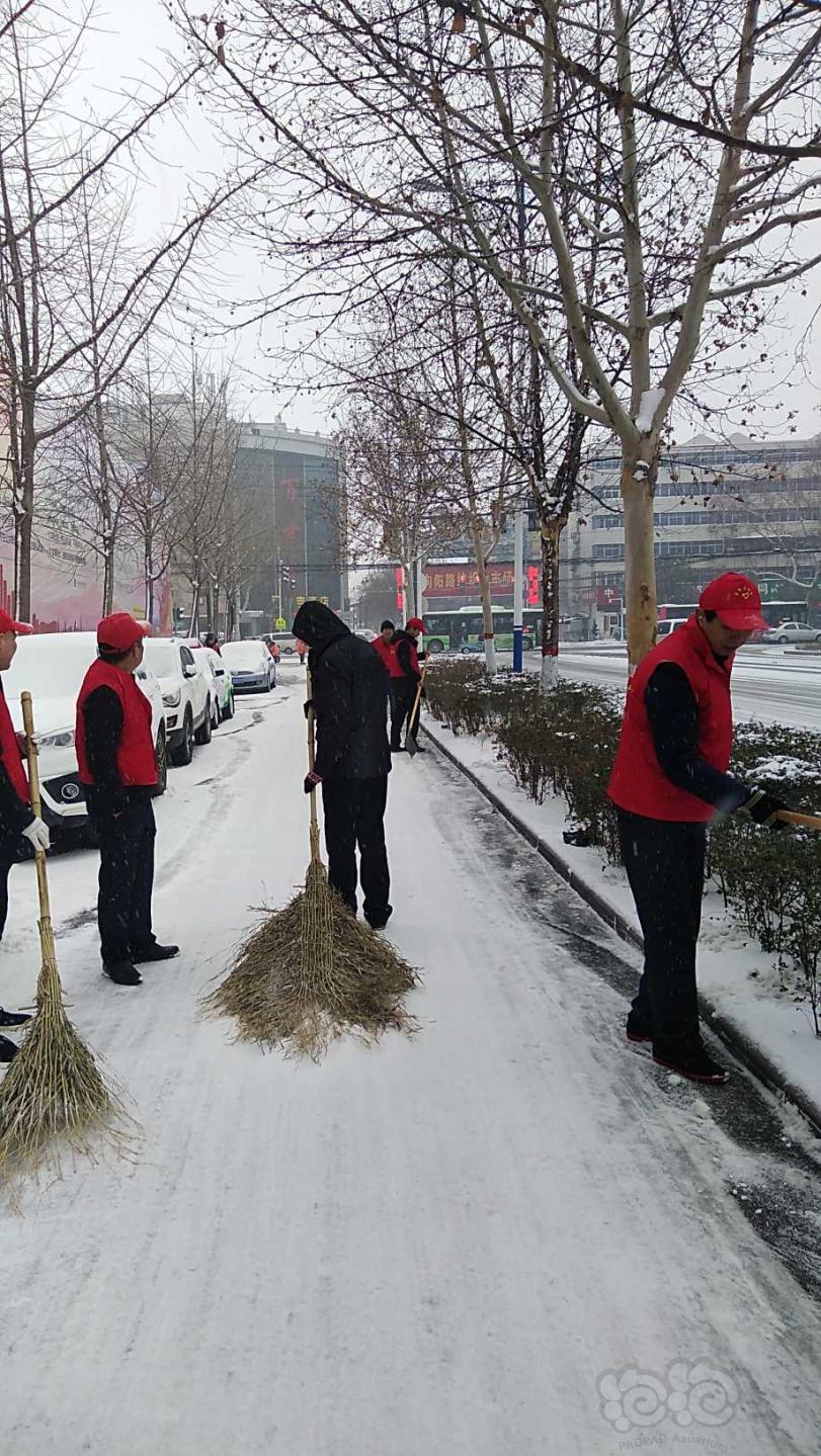 下雪了，各单位的小红帽，红马甲都开始行动了-图3