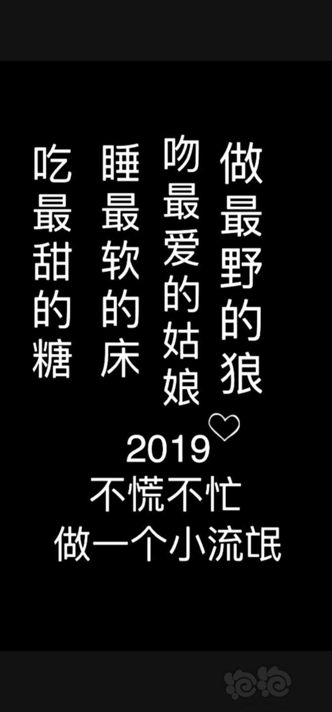 做一个小流氓吧